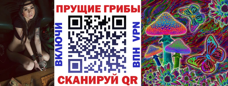 Купить закладки  Бор  Псилоцибиновые грибы Cubensis 
